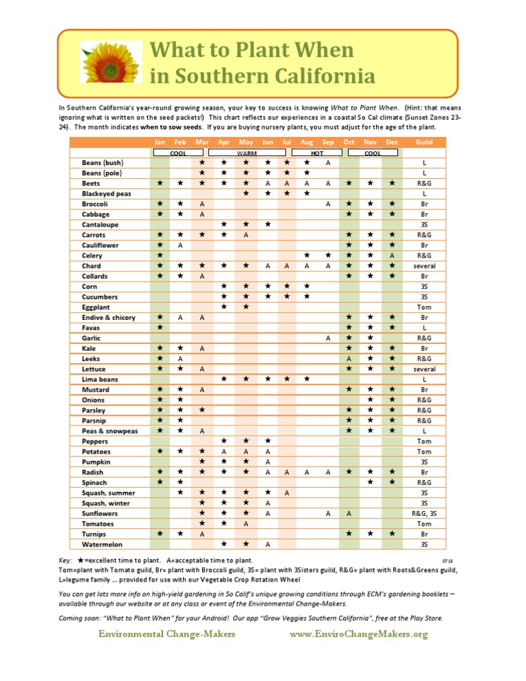 List of vegetables intelligence overview