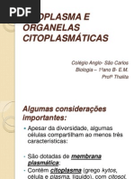 CITOPLASMA E ORGANELAS CITOPLASM�TICAS- 29-09