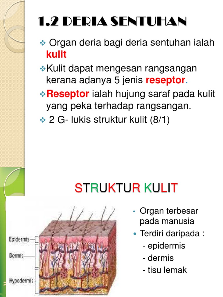 Deria Sentuh Pdf