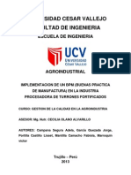 Manual de Bpm-proyecto