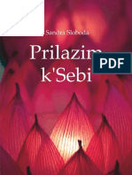 Prilazim K Sebi