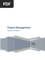 BI Project Management