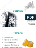 caucho-1223862003917644-9