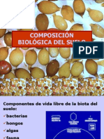 Biologia Del Suelo