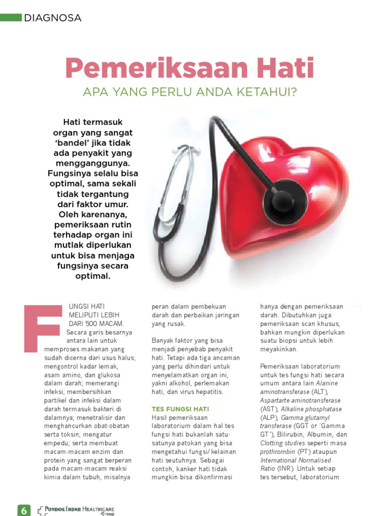 Laporan Pemeriksaan - Hati | PDF
