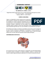 Interpretación de QUIMICA SANGUINEA VETERINARIA PDF