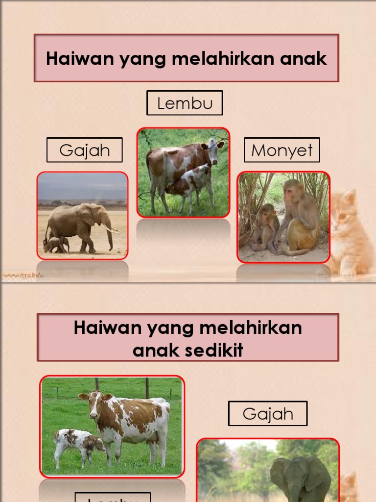 Pembiakan Haiwan Pdf