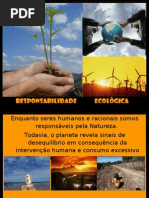responsabilidade ecológica