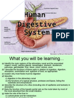 Humandigestionteacher 110323090218 Phpapp01