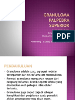 Kaspan-Granuloma Palpebra Superior