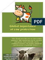 Cow Protection