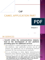 This Presentation Gives Basic Information On CAP