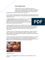 Razões para Comer Ovos PDF