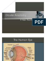 Ocular Anatomy