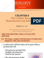 Mitosis Reference