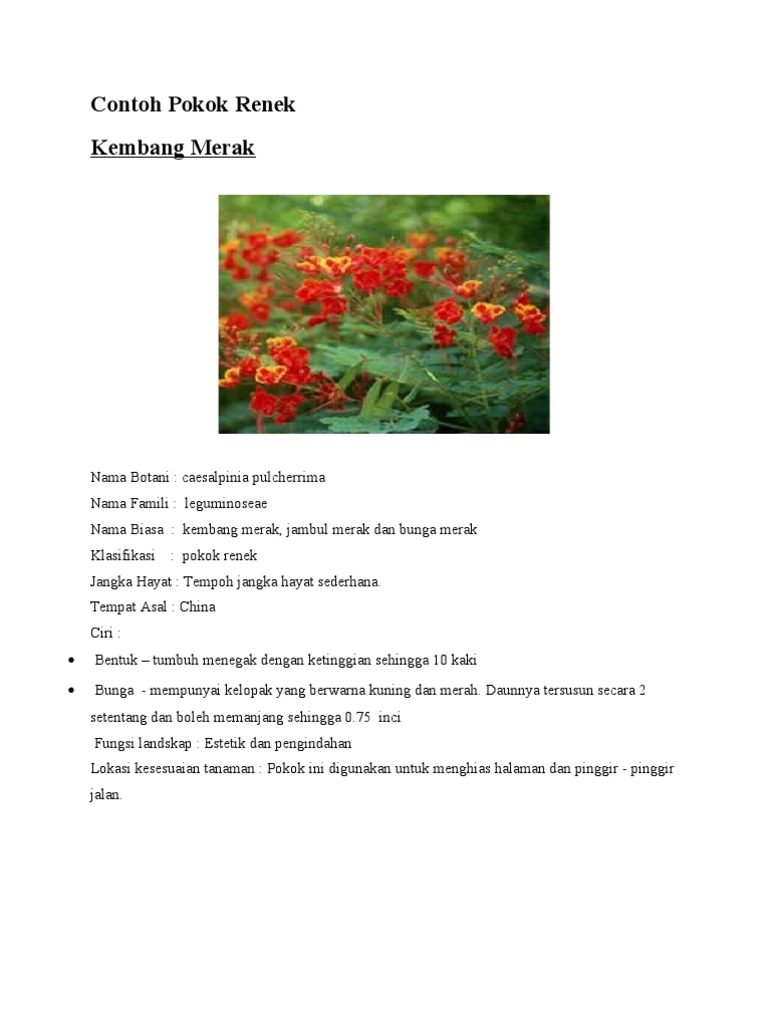 8jenis Pokok-Individu | PDF