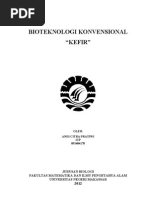 Download Bioteknologi Konvensional Kefir by Andi Citra Pratiwi SN155126416 doc pdf