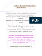 Arbustos Tóxicos de Nuestros Jardines y Alrededores