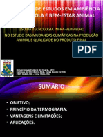 Termografia Infravermelho Estudo Mudanças Climáticas Produção Animal