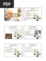 florais_de_bach.pdf