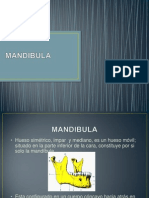 Presentacion Biomecanica Mandibula