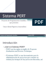 Pert Project