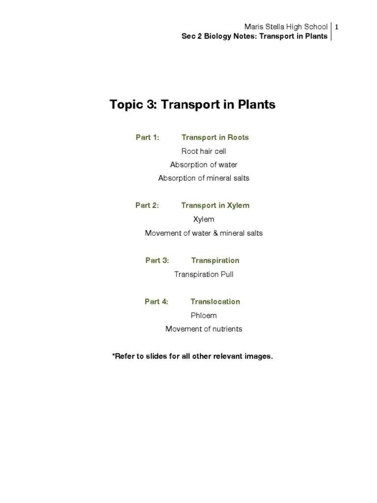 😎 Absorption of water and mineral salts. Water Absorption System in