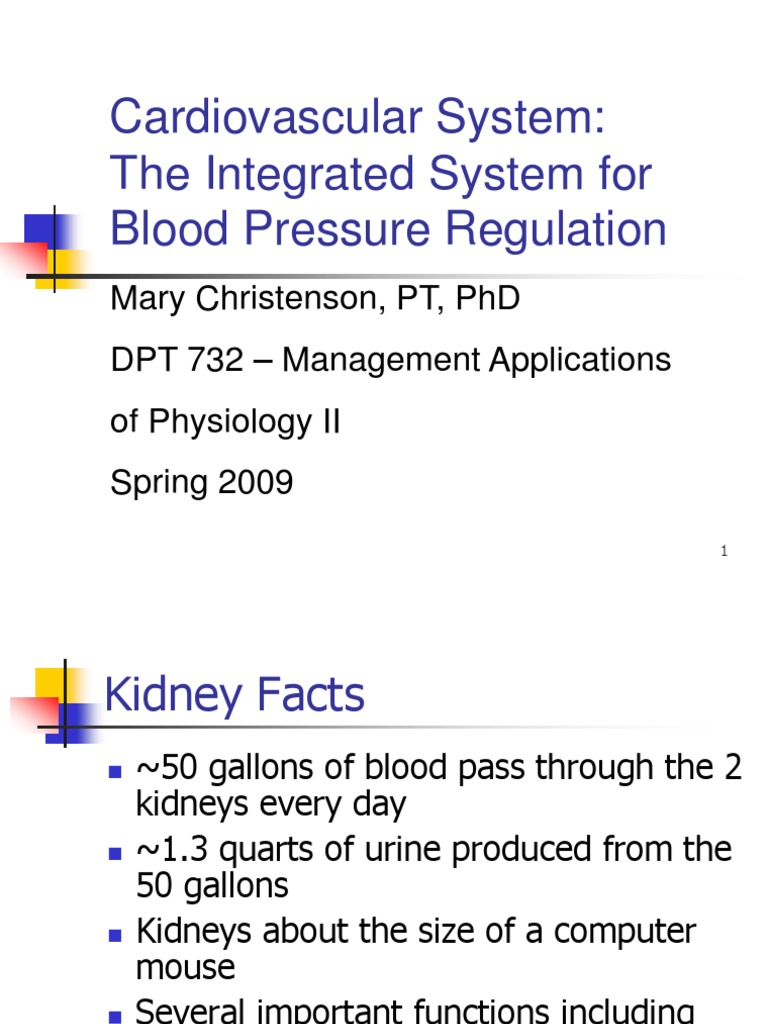 Cardiovascular System: The Integrated System For Blood Pressure ...