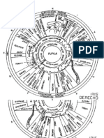 Mapa Iridologia