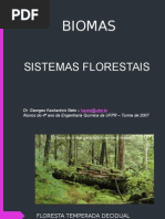 BIOMA - FLORESTAS