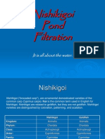 Nishikigoi Pond Filteration