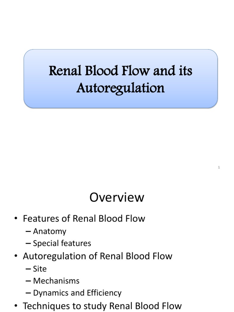 Renal Blood Flow and Its Autoregulation (Seminar) PDF Kidney