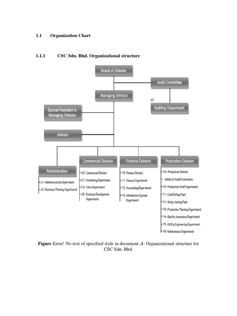 CSC Sdn. Bhd. Org Chart Overview | PDF
