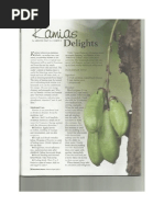 Kamias wine price picture