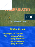 Kuliah Tuberkulosis, Dots, Tuberkuloma, Pneumocele