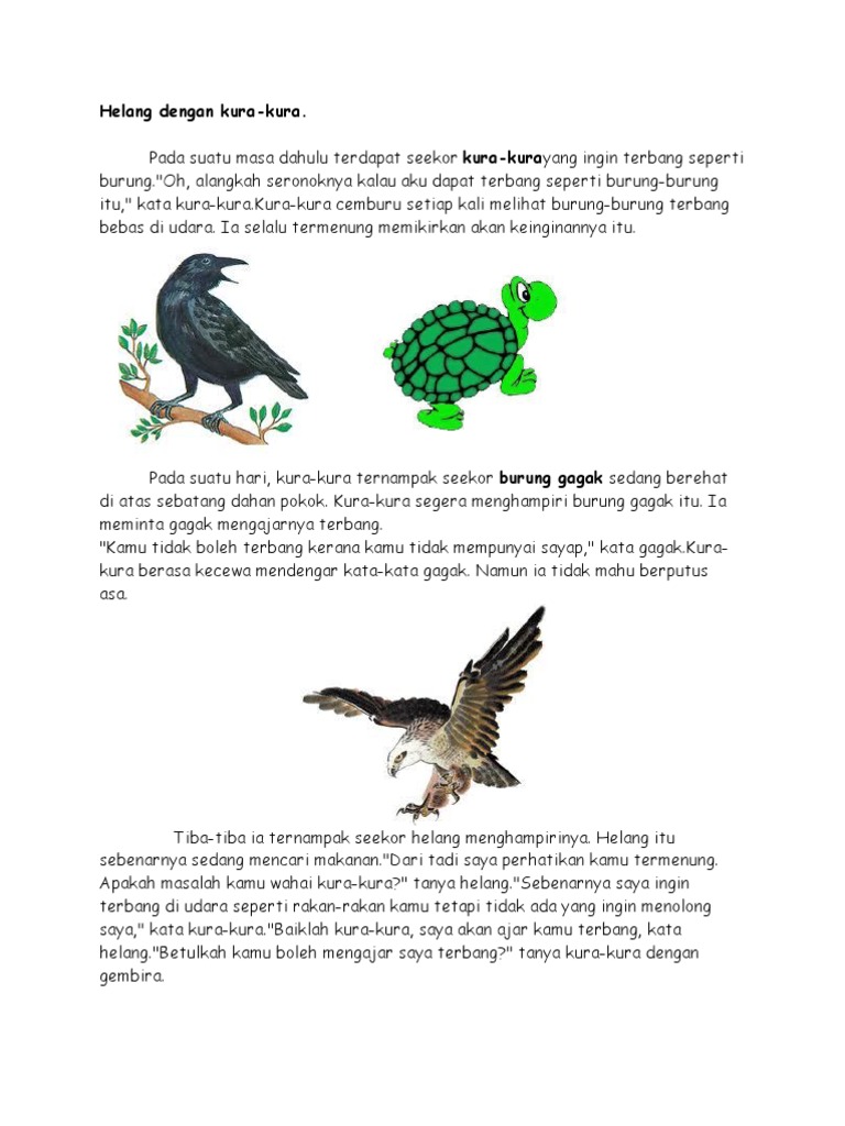 40++ Terbang bebas seperti burung terupdate