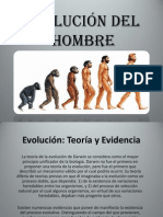 Evolución Humana