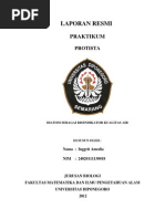 Download Diatom Sebagai Bioindikator Kualitas Air by Inggrit Amedia SN155304630 doc pdf