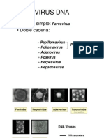Tema 37virus Dna