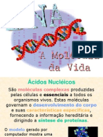 Acidos Nucleicos