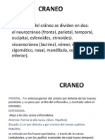 CRANEO diapositiva