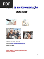 Apostila - Micropgmentação (Maquiagem Definitiva)