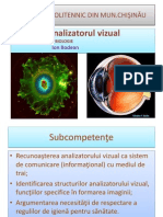 analizator_vizual_ppt
