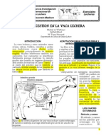 Digestion Vaca Lechera Nutricion PDF