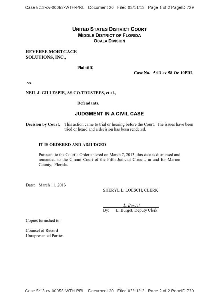 Doc 20. 031113, Judgment in a Civil Case Lawsuit United States
