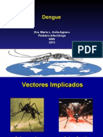 Información importante sobre el dengue