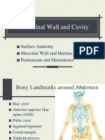 Abdominal Wall and Cavity: Surface Anatomy Muscular Wall and Hernias Peritoneum and Mesenteries