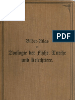 Marshall 1898: Bilder-Atlas Zur Zoologie Der Fische, Lurche Und Kriechtiere