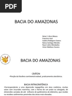 Bacia Do Amazonas