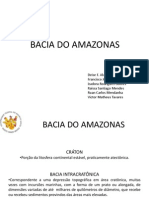 Bacia Do Amazonas